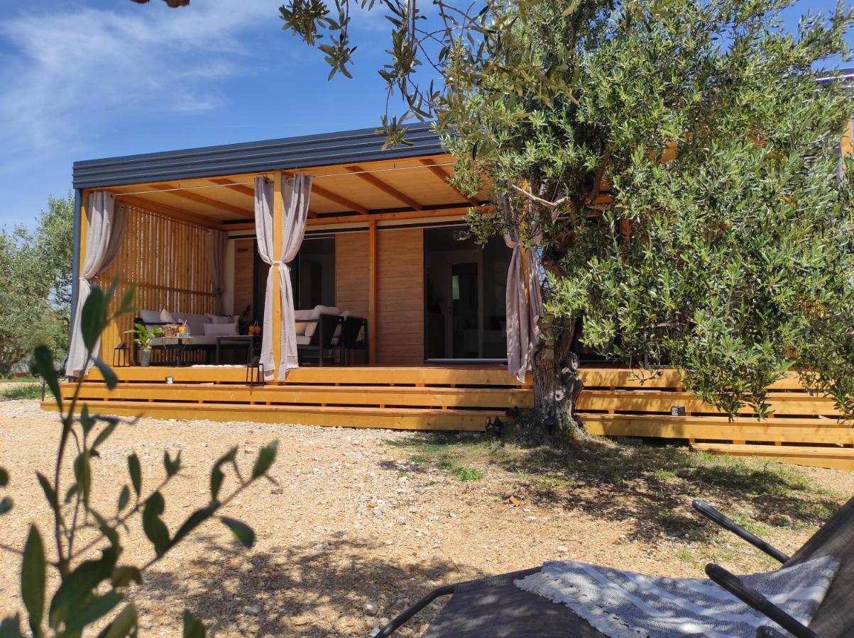 Zen Zone Premium Mobile Home ドラゲ エクステリア 写真